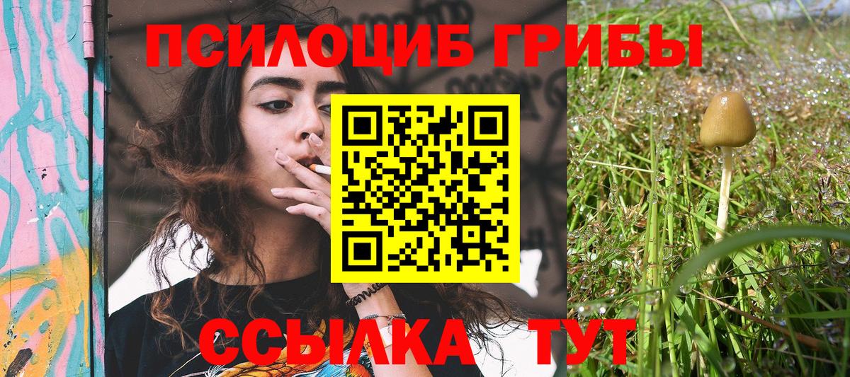 закладка  Вход с VPN  Кунгур  Псилоцибиновые грибы ЛСД 