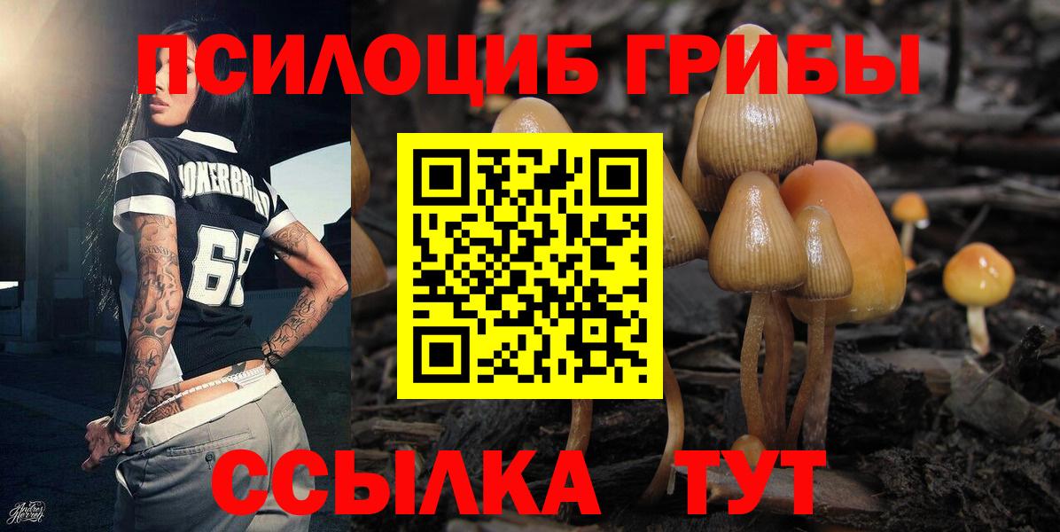 Галлюциногенные грибы ЛСД Кунгур